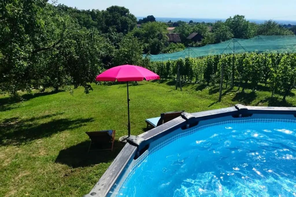 Kuca Za Odmor Villa Cesarica - Zagreb Graberje Ivanicko Екстер'єр фото